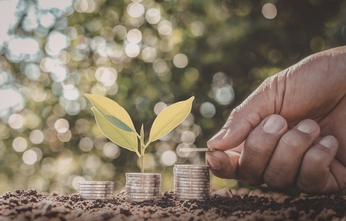 ahorro y sustentabilidad